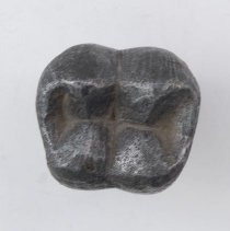 Lhm 1979.001.003 (1) Edited